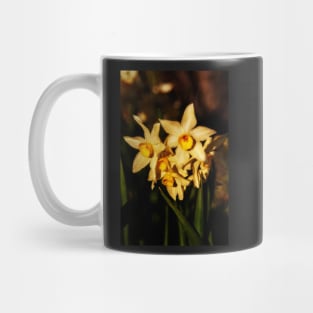 Daffodil flowers Mug